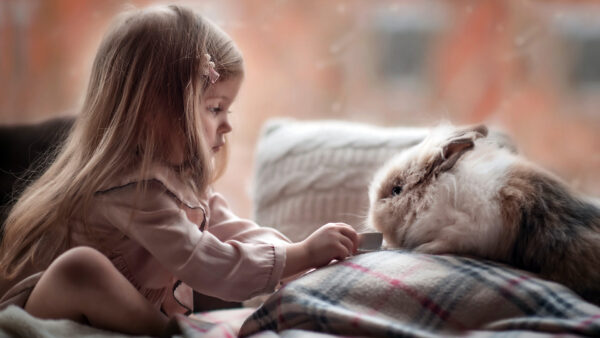 Wallpaper Rabbit, Cute, Playing, With, Girl