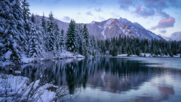 Wallpaper Desktop, Mountain, Snow, Winter, During, Mobile, Lake, Forest, Nature, Covered, And