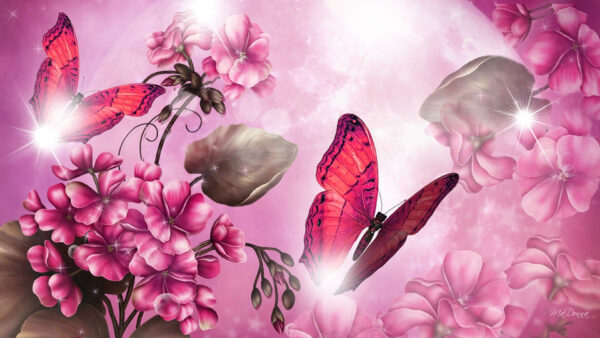 Wallpaper Flowers, Near, Butterflies, Butterfly, Pink