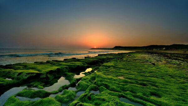 Wallpaper Horizon, Nature, During, Seascape, Desktop, Sunset