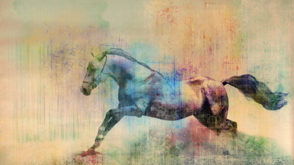 Wallpaper Old, Horse, Desktop, Picture