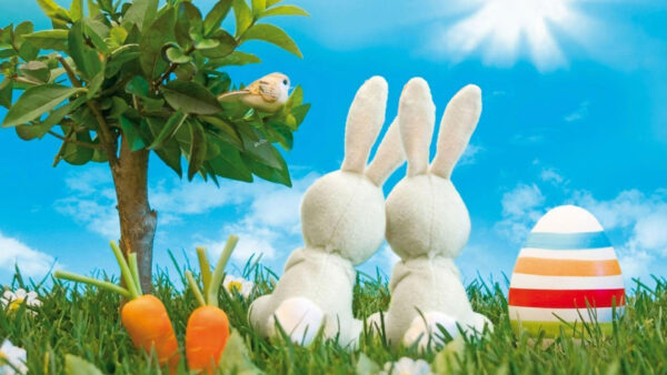 Wallpaper Rabbits, Desktop, Animated, Cartoon