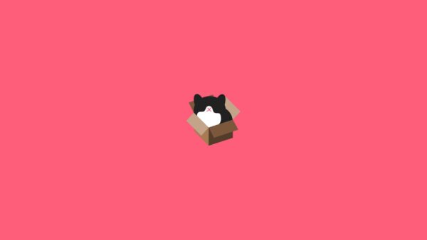 Wallpaper Design, Minimalist, Cat, Box