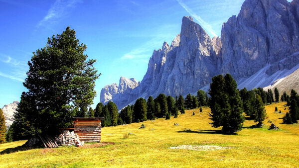 Wallpaper Sky, Trees, Scenery, Nature, Mountains, Under, Green, White, Blue, Beautiful, Grass