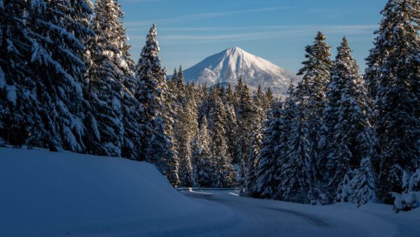 Wallpaper Snow, Mountain, Desktop, Spruce, Trees, Landscape, Winter, Daytime, Mobile, View, Capped, Background, Sky, During, Blue, Frozen