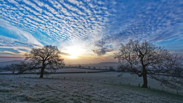 Wallpaper Nature, Sky, Field, White, Clouds, Green, Trees, Grass, Blue, Above