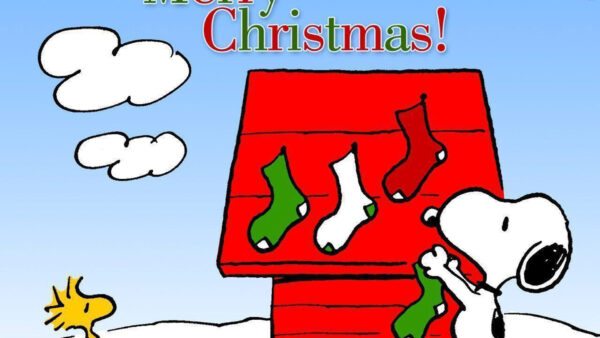 Wallpaper Roof, Christmas, Colorful, Socks, Decorating, House, Snoopy, With