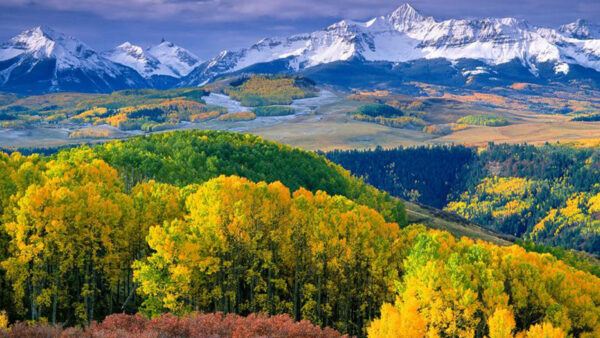 Wallpaper Trees, View, Mountain, Snow, Colorful, Covered, White, Autumn, Landscape