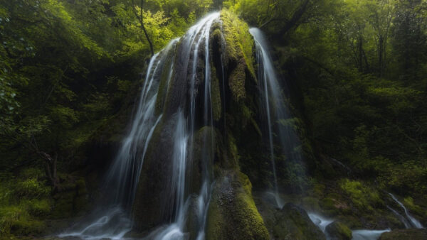 Wallpaper Green, Rocks, Nature, Covered, Algae, Waterfall, Trees, Scenery, Forest