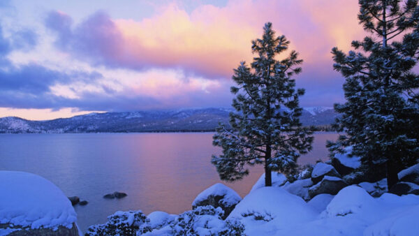 Wallpaper Beautiful, Fog, Under, View, Trees, Clouds, Snow, And, Sky, Landscape, Spruce, With, Winter, Stones, Mountain, Covered, Nature