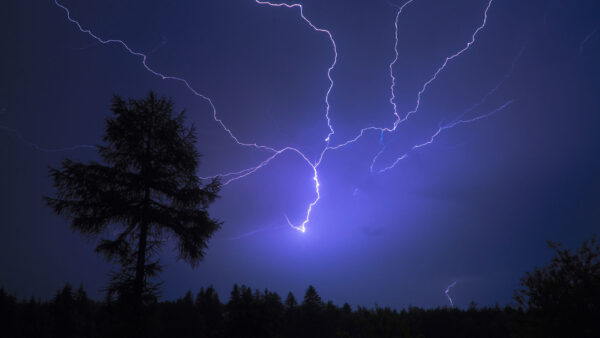 Wallpaper Lightning, Nature, Nighttime, Forest, During, Sky, Trees