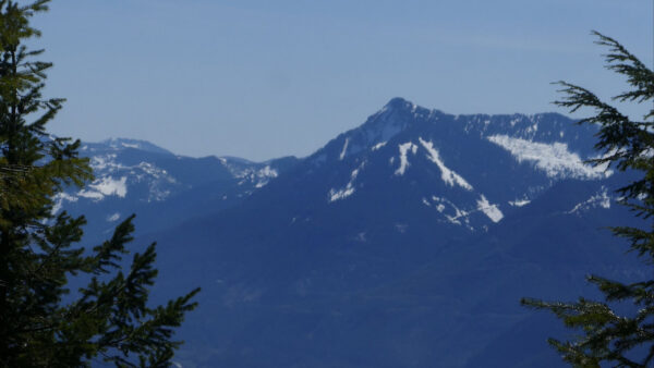Wallpaper View, Forest, Trees, Mountain, Background, Landscape, Sky, Blue, Nature