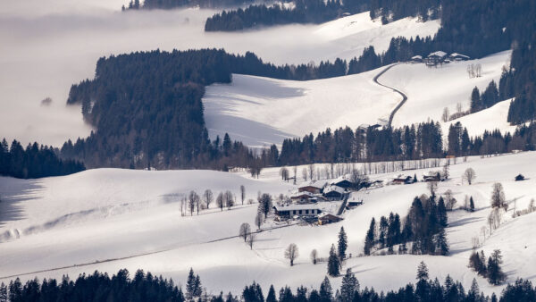 Wallpaper Snow, Frost, Village, During, Scenery, Winter, Field, Daytime, Houses, Path, Beautiful, Trees