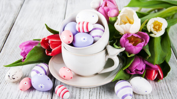 Wallpaper White, Tulip, Flowers, Cups, Eggs, Red, Easter, Pink, Happy