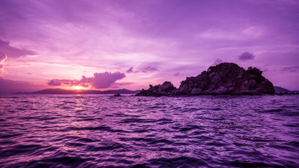 Wallpaper Pelican, Island, Landscape, Purple