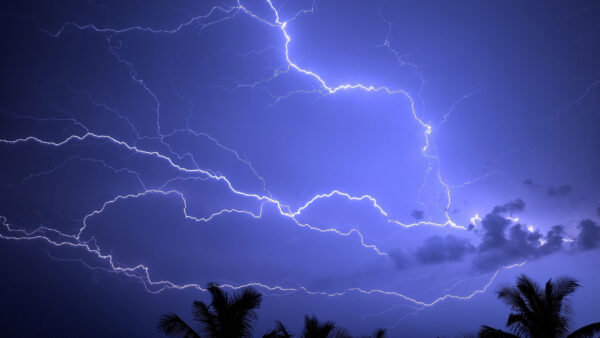Wallpaper Lightning, Storm, 4k, Palm, Sky