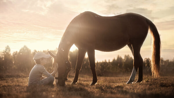 Wallpaper Monitor, Pc, Horse, Photography, Background, Free, Wallpaper, Dual, Download, Desktop, Cool, Images, Child, 4k