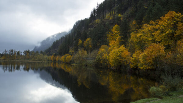 Wallpaper Mobile, Covered, Reflection, Landscape, Mountains, Nature, Phone, Green, Under, Desktop, With, Lake