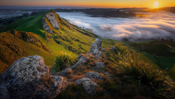 Wallpaper Fog, Morning, Dawn, Nature, Zealand, Desktop, Sunrise, Mountain, New, During