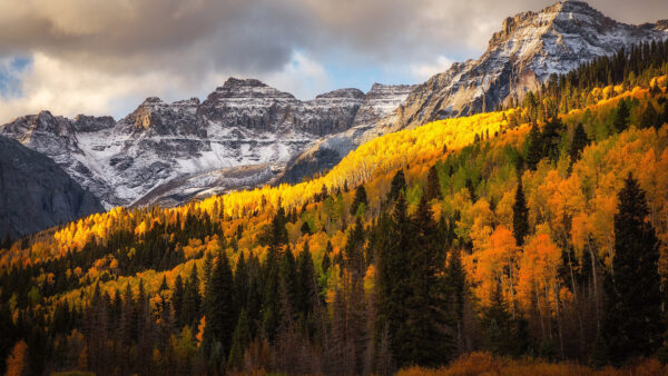 Wallpaper Covered, Snow, Forest, Desktop, Moutain, Nature, Fall, Earth