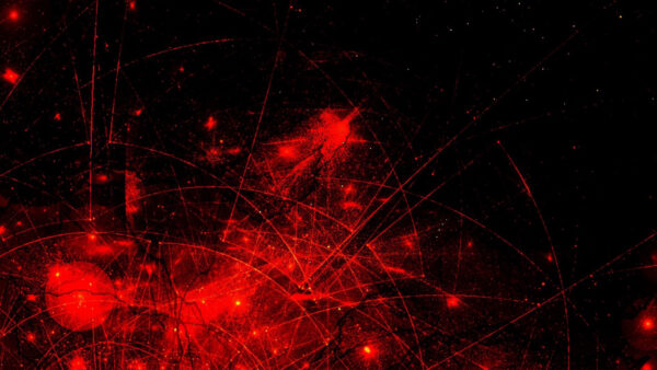 Wallpaper Abstract, Desktop, Black, Abstraction, Red