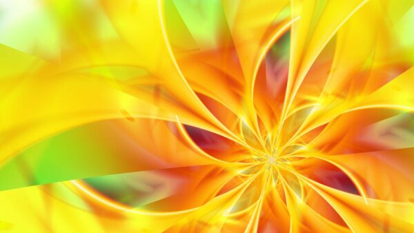 Wallpaper Flower, Desktop, Red, Yellow
