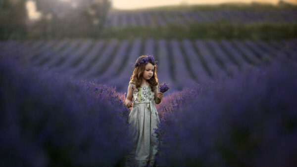 Wallpaper Lavender, Girl, And, Standing, Little, Wearing, Dress, Field, Wreath, White, Cute, With, Flowers