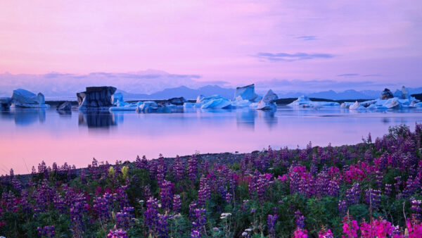 Wallpaper Iceberg, Sunrise, Front, Mountains, River, Desktop, During, And, Nature, Landscape, Fireweed, With