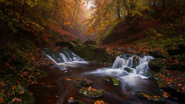 Wallpaper Waterfall, Forest, Nature, Fall, Desktop