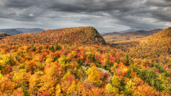 Wallpaper Black, Yellow, Mobile, Trees, Sky, Desktop, Red, Mountains, Leaves, Autumn, Under, Green, Fall, Clouds, White