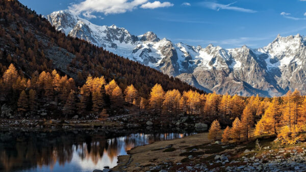 Wallpaper Covered, Trees, Mountains, Landscape, And, Under, Sky, Surrounded, White, Nature, View, Blue, Lake