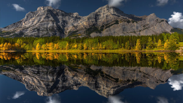 Wallpaper Mountain, Reflection, Water, Nature, Trees, Calm, Yellow, Green, Forest, Body