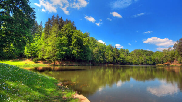 Wallpaper Water, Reflection, Lake, Sky, Green, Surrounded, Blue, Trees, Under, Scenery