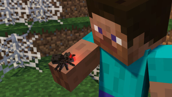 Wallpaper Steve, Minecraft, Spider