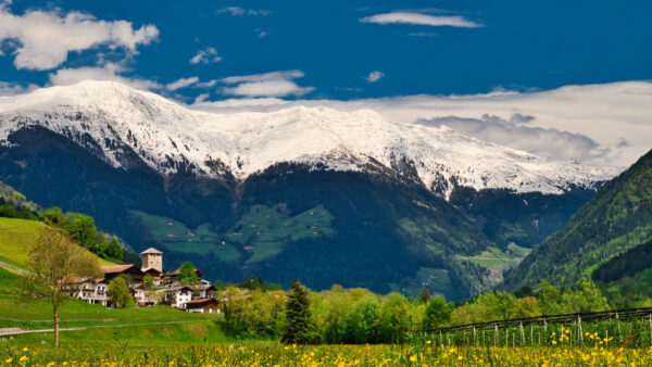 Wallpaper Plants, Bushes, Flowers, Yellow, Mountains, Houses, Field, Trees, Greenery, Blue, White, Under, Sky, Beautiful, Desktop, Land, Mobile, Snow, Nature, Clouds