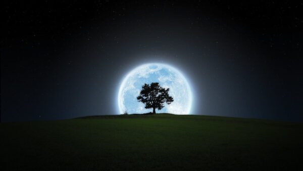 Wallpaper Starry, Moon, Grass, Background, Full, Sky, Tree, Field, Green