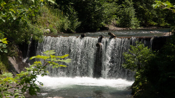 Wallpaper Between, Waterfall, Forest, Green, Beautiful, Trees, Nature, Background, Bushes