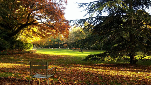 Wallpaper Green, Nature, Autumn, Grass, Field, Chair, Trees