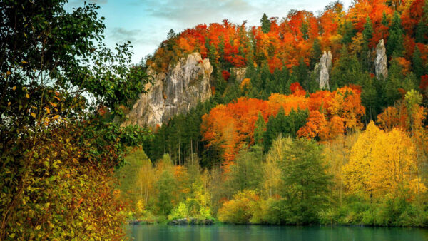 Wallpaper Autumn, Trees, Fall, Reflection, Bushes, Plants, River, Colorful, Beautiful