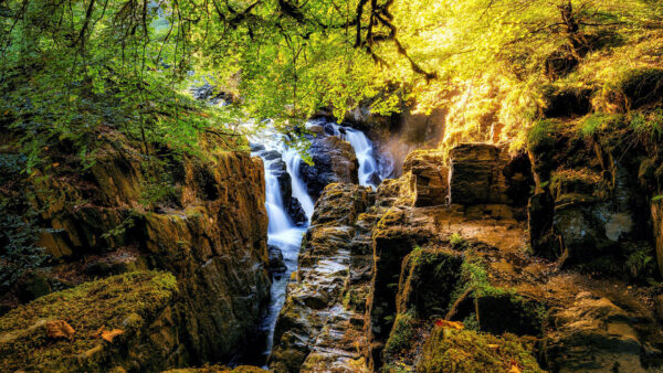 Wallpaper Nature, Rocks, Branches, From, Slope, Waterfall, Green, Trees, Leaves, Mountains