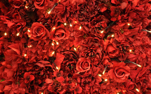 Wallpaper Roses, Lights