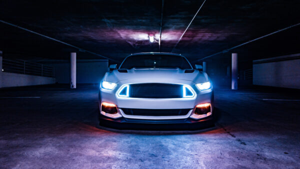 Wallpaper Mustang, Neon, Lights, Ford