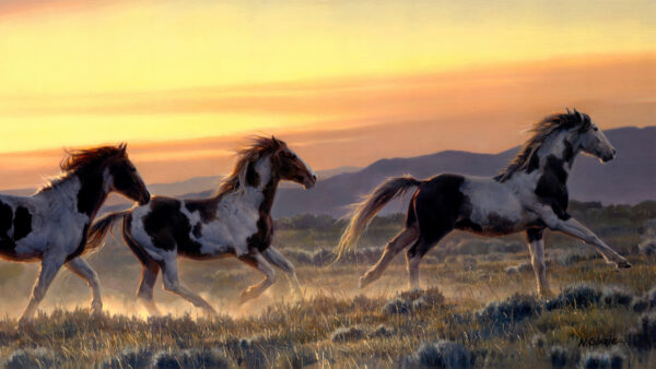 Wallpaper Mobile, And, Field, Horses, With, Running, Animals, Background, Desktop, Brown, Yellow, Sky