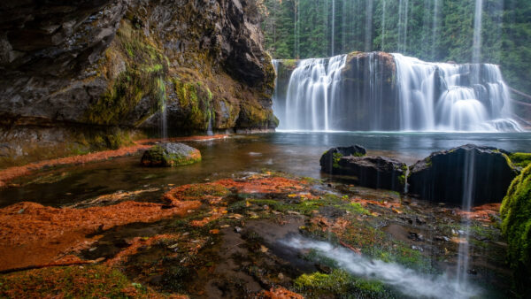 Wallpaper Waterfall, Forest, Mobile, Pouring, Desktop, River, Landscape, Nature