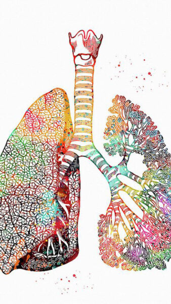 Wallpaper Art, Lungs, Background, White, Medical, Desktop