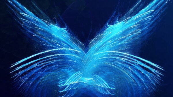 Wallpaper Desktop, Blue, Abstract, Fractal, Butterfly