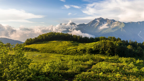 Wallpaper Sky, Desktop, Landscape, View, Cloudy, Mobile, Green, Covered, Trees, Mountains, Nature, Fog, Under, And