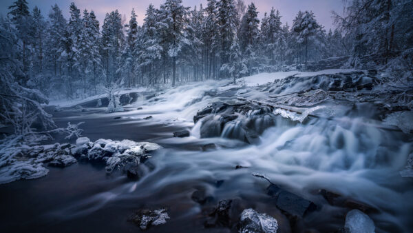 Wallpaper Time, Desktop, Nature, Between, Trees, During, Waterfall, Morning, Forest, Stream, Snow, Covered