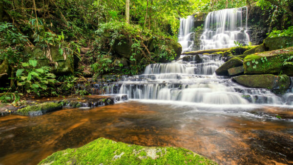 Wallpaper Between, Algae, Plants, Stream, Rocks, Green, Waterfall, Desktop, Covered, Mobile, Trees, Nature