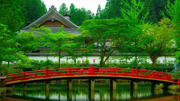 Wallpaper Bridge, Reflection, House, Nature, Trees, Surrounded, With, Water